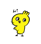 ヒヨコトリ3（個別スタンプ：11）