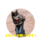 くろじ。（個別スタンプ：6）
