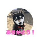 くろじ。（個別スタンプ：8）