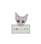 ねこ×敬語（個別スタンプ：11）