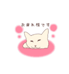 ねこ×敬語（個別スタンプ：13）