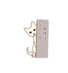 ねこ×敬語（個別スタンプ：16）