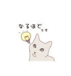 ねこ×敬語（個別スタンプ：19）