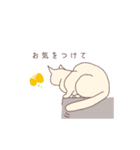 ねこ×敬語（個別スタンプ：28）