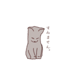 ねこ×敬語（個別スタンプ：30）