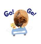 わんこの日常3（個別スタンプ：6）