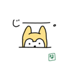柴くんと猫さん（個別スタンプ：2）