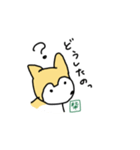 柴くんと猫さん（個別スタンプ：4）