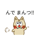 訛り猫です♫（個別スタンプ：5）