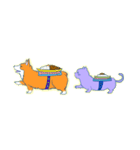 コーギー＆マンチカン（個別スタンプ：1）