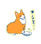 コーギー＆マンチカン（個別スタンプ：2）