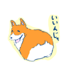 コーギー＆マンチカン（個別スタンプ：14）