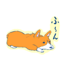 コーギー＆マンチカン（個別スタンプ：16）