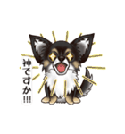 チワワのぎんじろう3(敬語ver.)（個別スタンプ：8）