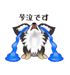 チワワのぎんじろう3(敬語ver.)（個別スタンプ：27）