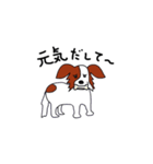 愛犬パピヨンのスタンプ（個別スタンプ：8）