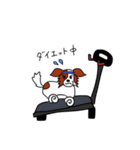 愛犬パピヨンのスタンプ（個別スタンプ：13）