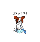 愛犬パピヨンのスタンプ（個別スタンプ：19）