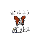 愛犬パピヨンのスタンプ（個別スタンプ：20）