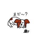 愛犬パピヨンのスタンプ（個別スタンプ：21）