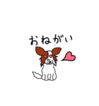 愛犬パピヨンのスタンプ（個別スタンプ：22）