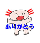 メキシコサンショウウオ（個別スタンプ：24）