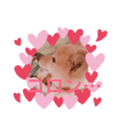 可愛いシプレスタンプ♡（個別スタンプ：1）