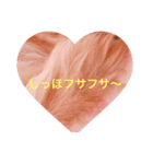 可愛いシプレスタンプ♡（個別スタンプ：2）