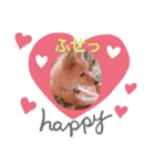 可愛いシプレスタンプ♡（個別スタンプ：8）