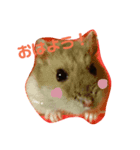 かわいいやつら。（個別スタンプ：1）