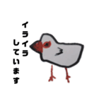 鳥と謎のキャラクター（個別スタンプ：1）