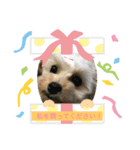 ゆめしゃん！（個別スタンプ：3）