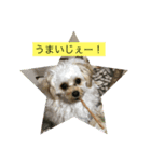 ゆめしゃん！（個別スタンプ：8）