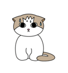 かわいい子猫ROSY(ロッジ)（個別スタンプ：1）
