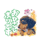 ダックス【ゆめち】（個別スタンプ：1）