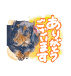 ダックス【ゆめち】（個別スタンプ：2）
