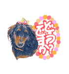 ダックス【ゆめち】（個別スタンプ：4）