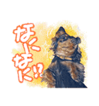 ダックス【ゆめち】（個別スタンプ：9）