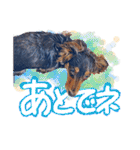 ダックス【ゆめち】（個別スタンプ：22）