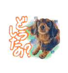 ダックス【ゆめち】（個別スタンプ：23）