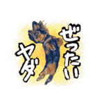 ダックス【ゆめち】（個別スタンプ：26）