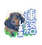 ダックス【ゆめち】（個別スタンプ：31）