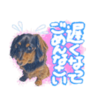 ダックス【ゆめち】（個別スタンプ：32）