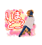 ダックス【ゆめち】（個別スタンプ：33）