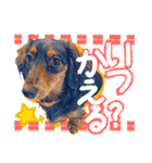 ダックス【ゆめち】（個別スタンプ：34）