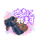 ダックス【ゆめち】（個別スタンプ：36）
