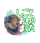 ダックス【ゆめち】（個別スタンプ：37）