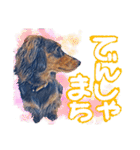 ダックス【ゆめち】（個別スタンプ：38）