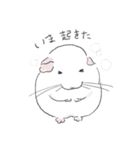 チンチラ ゆるかわ手描きタッチのスタンプ（個別スタンプ：6）