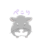 チンチラ ゆるかわ手描きタッチのスタンプ（個別スタンプ：9）
